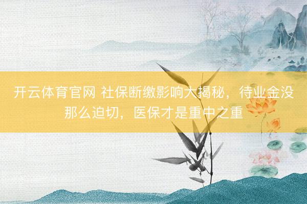 开云体育官网 社保断缴影响大揭秘，待业金没那么迫切，医保才是重中之重