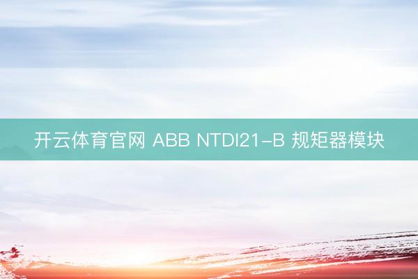 开云体育官网 ABB NTDI21-B 规矩器模块