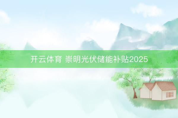 开云体育 崇明光伏储能补贴2025