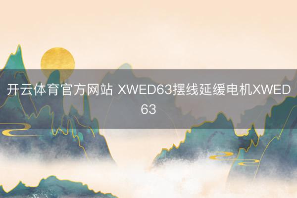 开云体育官方网站 XWED63摆线延缓电机XWED63