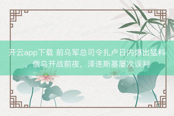 开云app下载 前乌军总司令扎卢日内爆出猛料，俄乌开战前夜，泽连斯基屡次误判