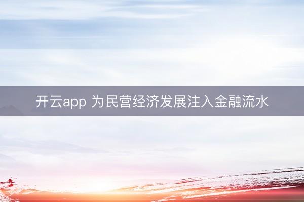 开云app 为民营经济发展注入金融流水
