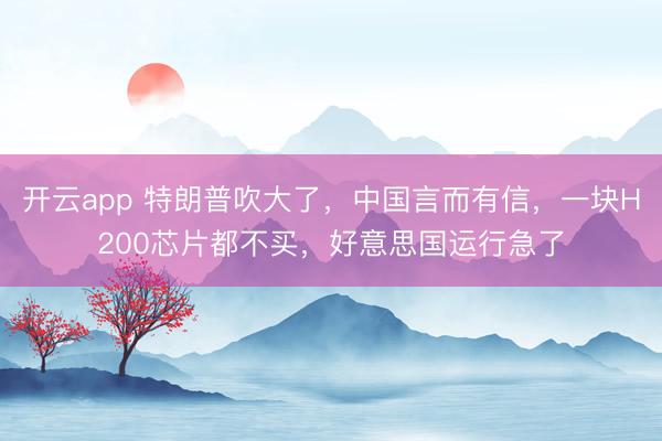 开云app 特朗普吹大了，中国言而有信，一块H200芯片都不买，好意思国运行急了