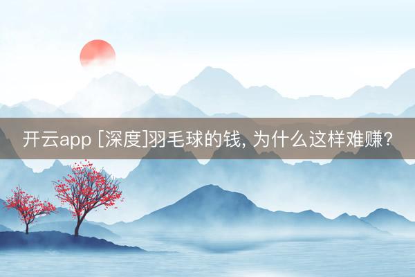 开云app [深度]羽毛球的钱， 为什么这样难赚?